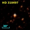 HD 310497