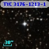 TYC 3176-1213-1