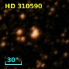 HD 310590