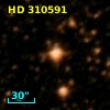 HD 310591