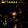 HD 310595
