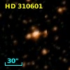 HD 310601