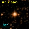 HD 310602