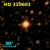 HD 310603