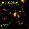 HD 310616