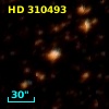 HD 310493