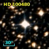 HD 100480