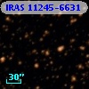 IRAS 11245-6631