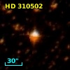 HD 310502