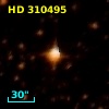 HD 310495