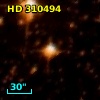 HD 310494