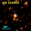 HD 310503