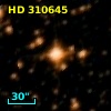 HD 310645