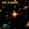 HD 310648