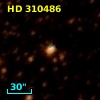 HD 310486