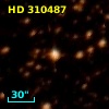 HD 310487