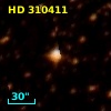 HD 310411