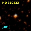 HD 310423