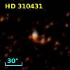 HD 310431