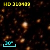 HD 310489