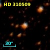 HD 310509