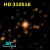 HD 310516