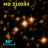 HD 310593