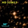 HD 310613
