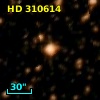 HD 310614
