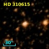 HD 310615