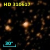 HD 310617