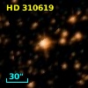 HD 310619