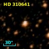 HD 310641