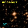 HD 310647