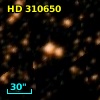 HD 310650