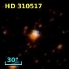HD 310517