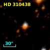 HD 310438