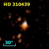 HD 310439