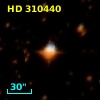 HD 310440