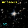 HD 310447