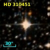HD 310451