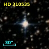 HD 310535