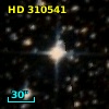 HD 310541