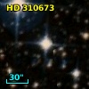 HD 310673