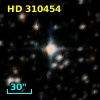 HD 310454
