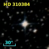 HD 310384