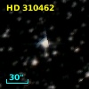HD 310462