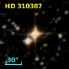 HD 310387