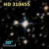 HD 310455