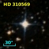 HD 310569